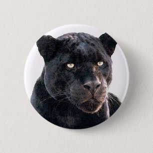 Black Jaguar Knapp