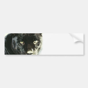 Black Jaguar Panther Bildekal