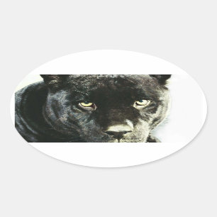 Black Jaguar Panther Ögon Oval Stickers Ovalt Klistermärke
