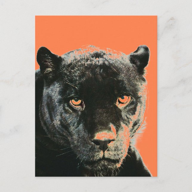 Black Jaguar Panther vykort (Framsida)