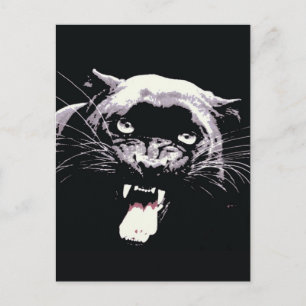 Black Jaguar Panther Vykort