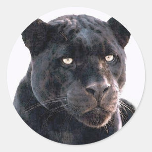 Black Jaguar Runt Klistermärke