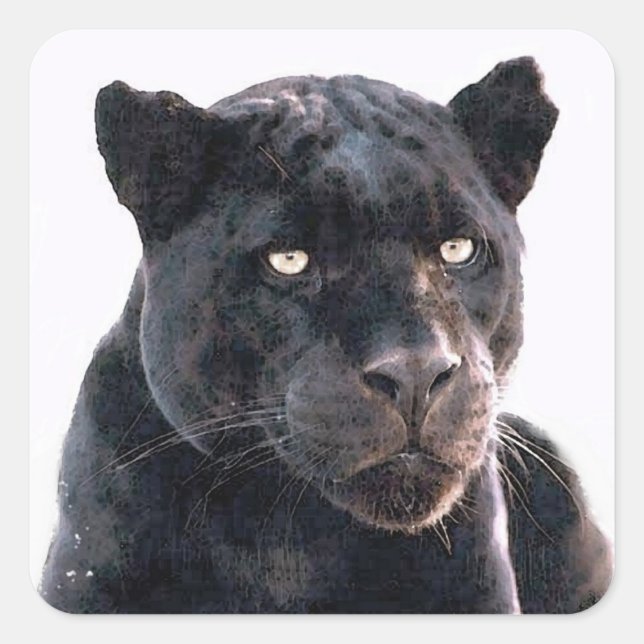 Black Jaguar Square Stickers Fyrkantigt Klistermärke (Framsida)