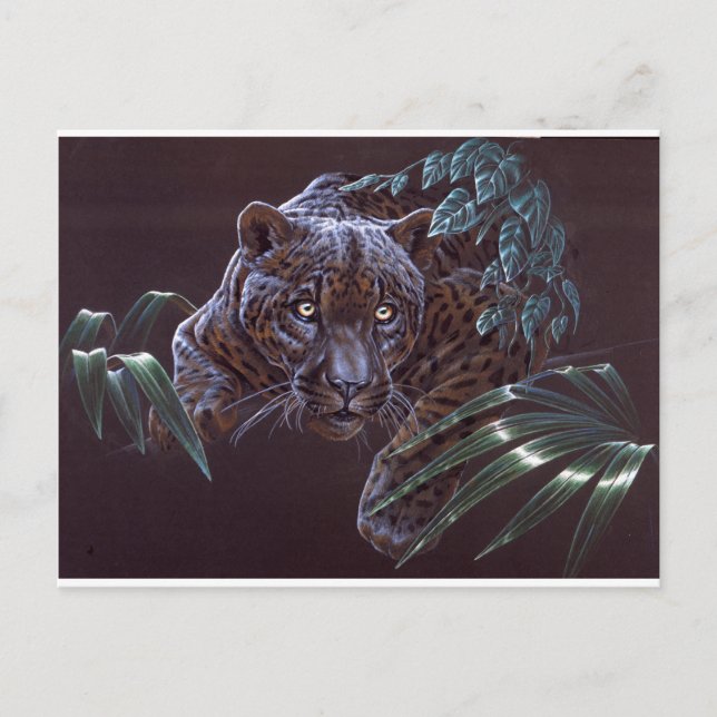 Black Jaguar Vykort (Framsida)