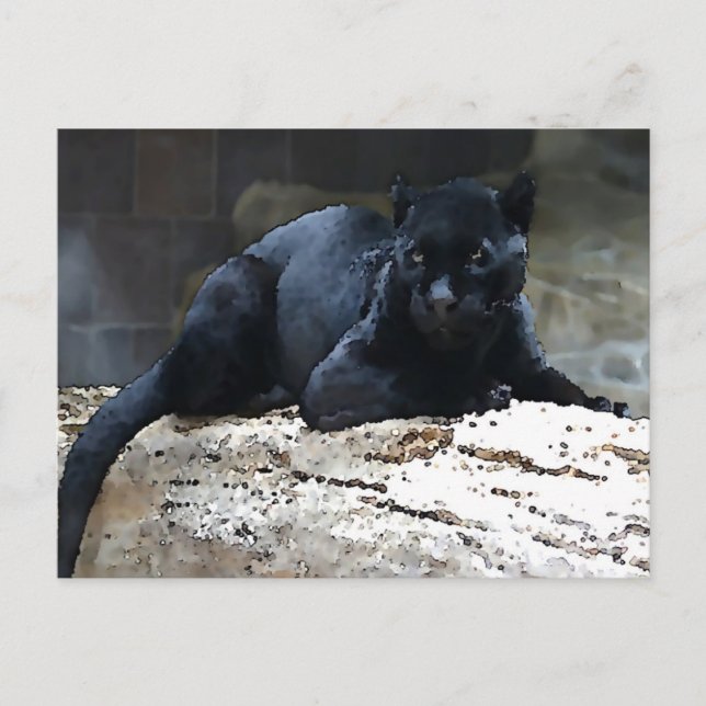 Black Jaguar Vykort (Framsida)