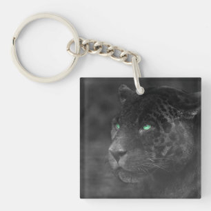 Black Jaguars Emerald Gaze