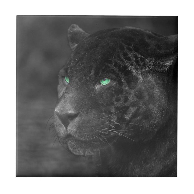 Black Jaguars Emerald Gaze Kakelplatta (Framsidan)