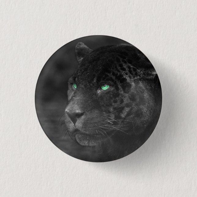 Black Jaguars Emerald Gaze Knapp (Framsida)