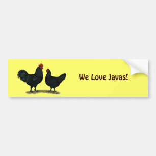 Black Java Chickens Bildekal