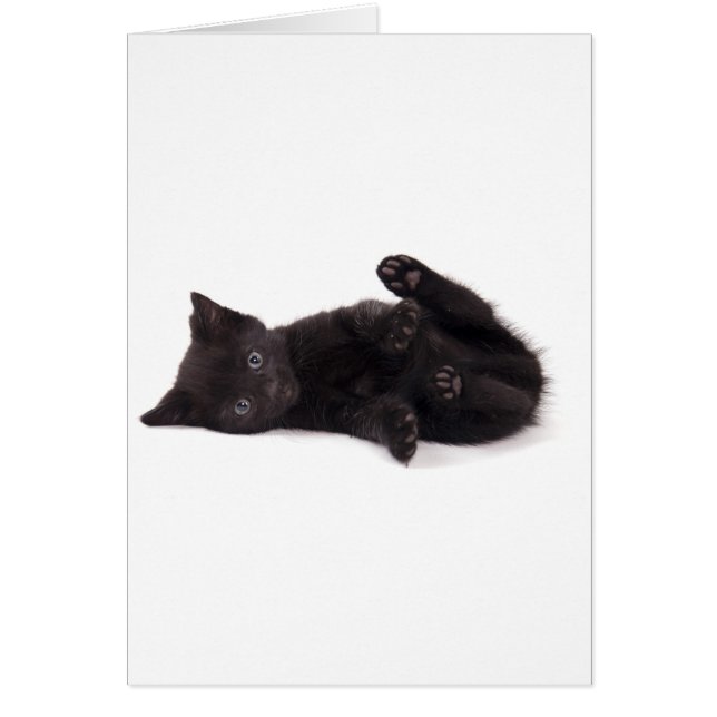 black kitten hälsningskort (Framsidan)
