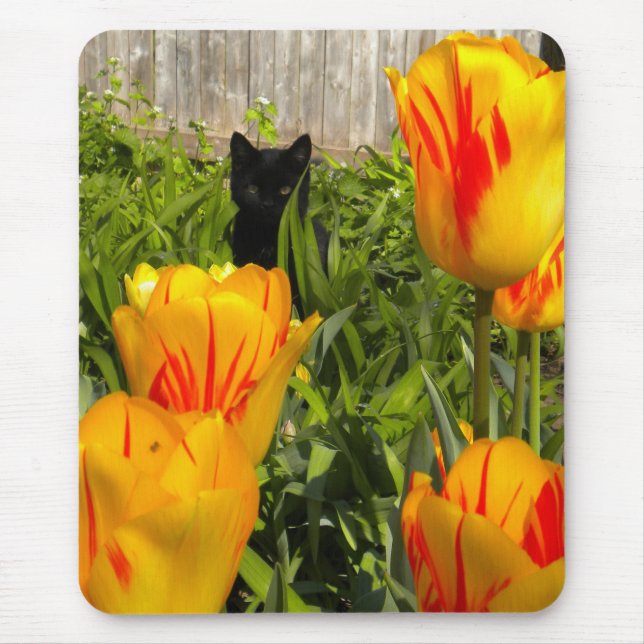 Black Kitten i Tulip Garden Mousepad Musmatta (Framsidan)