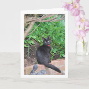 Black Kitten på Wall Kort