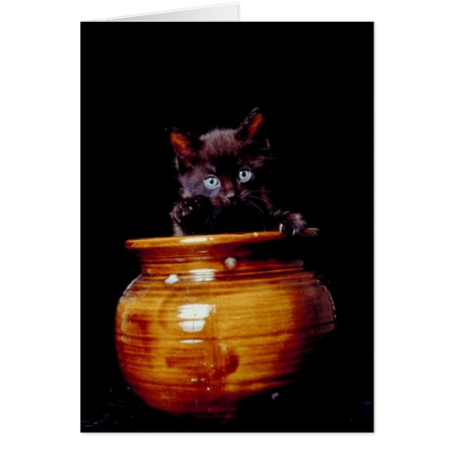 Black Kitten popping out Ceramic Burk Card OBS Kort (Framsidan)