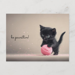 Black Kitten spelar med Rosa Boll i Ylle Vykort