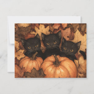 Black Kitten Trio Illustration Vykort