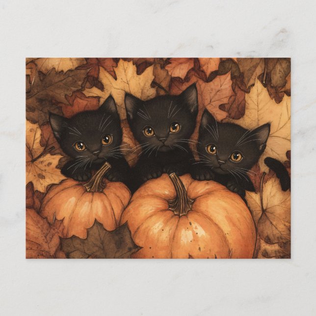 Black Kitten Trio Illustration Vykort (Framsida)