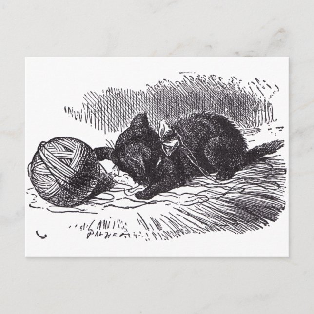Black Kitten Vykort (Framsida)