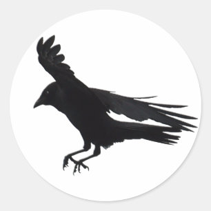 Black Kråka Art för flygande landning Runt Klistermärke