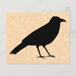 Black Kråka Bird på ett Parchment Mönster. Flygblad
