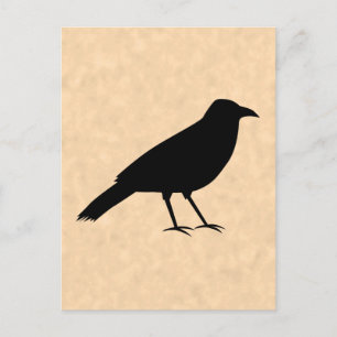 Black Kråka Bird på ett Parchment Mönster. Vykort