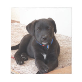 Black Labour Retriever Puppy Anteckningsblock