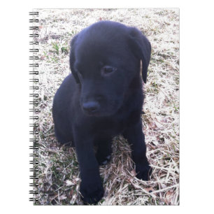 Black Labour Retriever Puppy Anteckningsbok