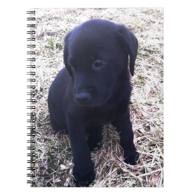 Black Labour Retriever Puppy Anteckningsbok (Framsidan)