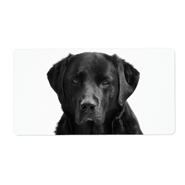 Black Labour Retriever Puppy Hund Fraktsedel (Framsidan)