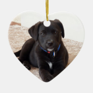 Black Labour Retriever Puppy Julgransprydnad Keramik