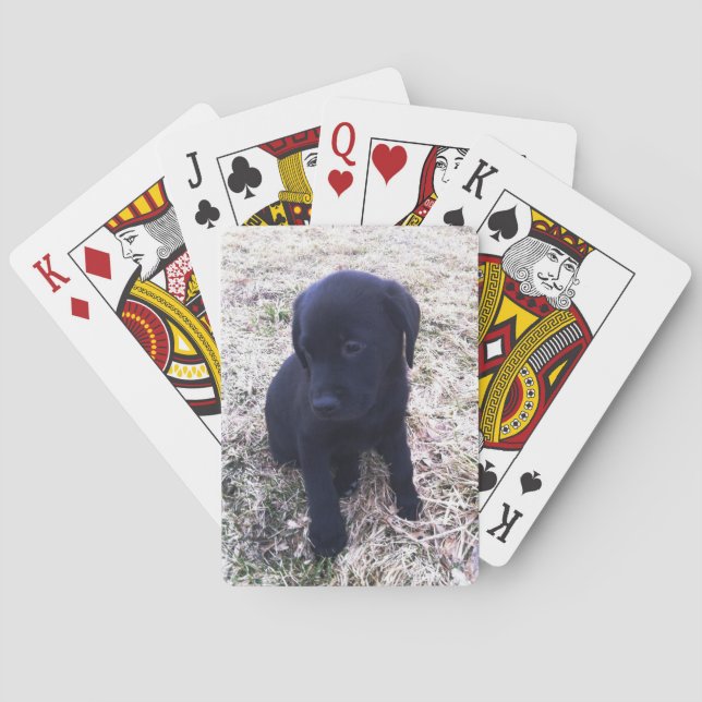 Black Labour Retriever Puppy Spel Kort (Baksidan)