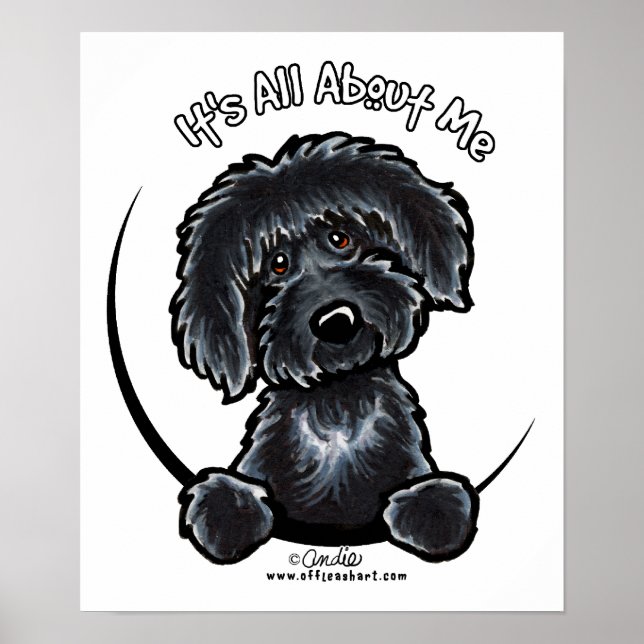 Black Labradodle IAAM Poster (Framsidan)