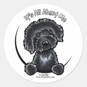 Black Labradodle IAAM Runt Klistermärke