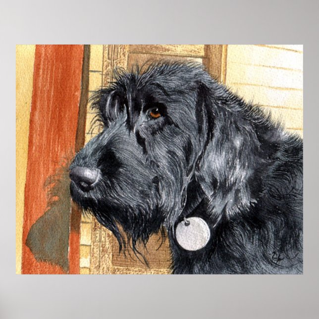 Black Labradoodle #1, Kanvastryck Poster (Framsidan)