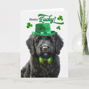 Black Labradoodle Feelin'Lucky St patrick's day Helgkort