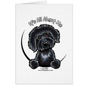 Black Labradoodle IAAM Simple Hälsningskort