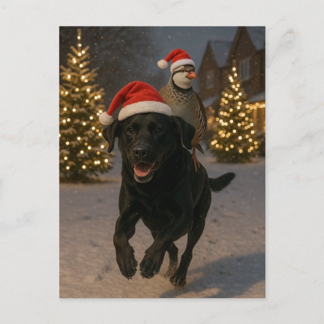 Black Labrador and Partridge Christmas postcard Vykort (Framsida)