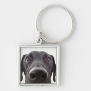 Black Labrador Closeup Porträtt Fyrkantig Silverfärgad Nyckelring