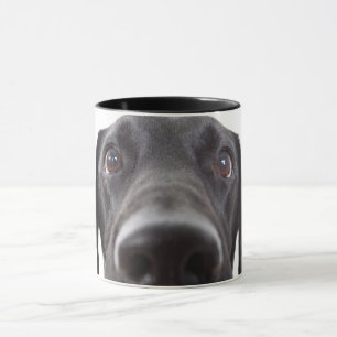 Black Labrador Closeup Porträtt Mugg