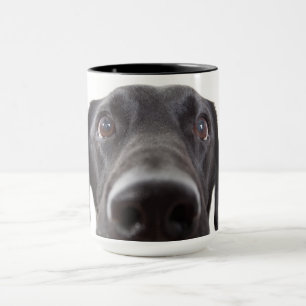 Black Labrador Closeup Porträtt Mugg