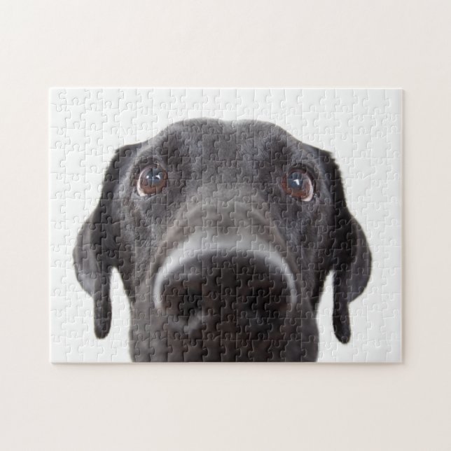 Black Labrador Closeup Porträtt Pussel (Horisontell)
