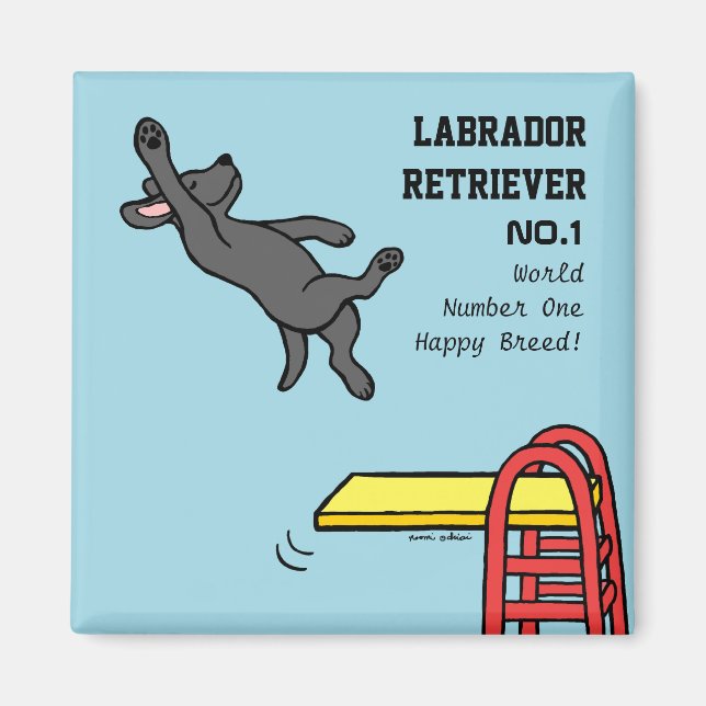 Black Labrador Diving Magnet (Framsidan)