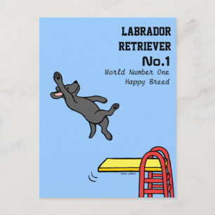 Black Labrador Diving Tecknad Vykort