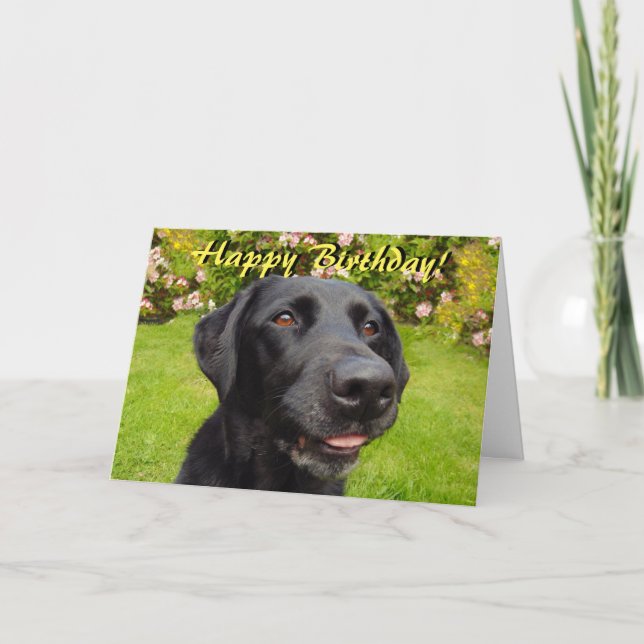 Black labrador-födelsedagskort kort (Framsida)