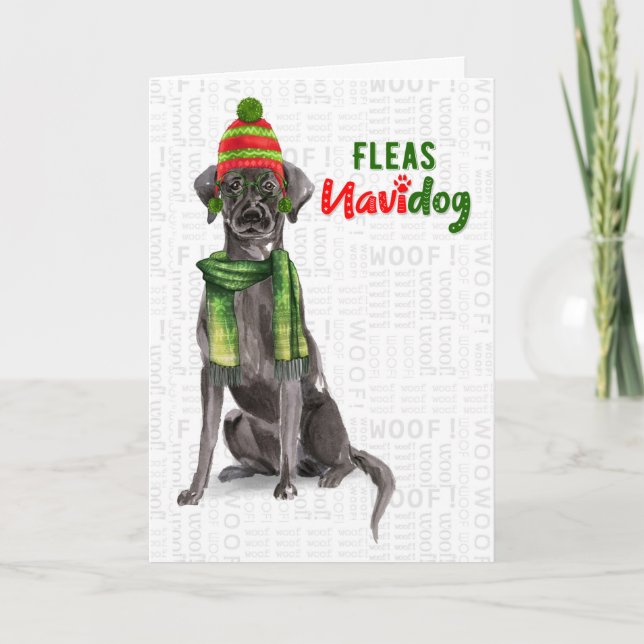 Black Labrador Funny Fleas Navidog jul Holid Helgkort (Framsida)