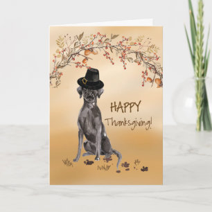 Black Labrador Funny Pilgrim Hat Thanksgiving Kort