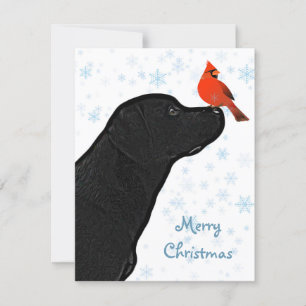 Black Labrador God jul och kardinal Julkort