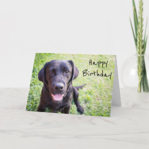 Black Labrador Grattis på födelsedagen Card Kort