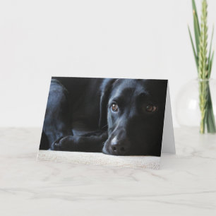 Black Labrador Helgkort