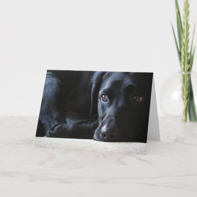 Black Labrador Helgkort (Framsida)
