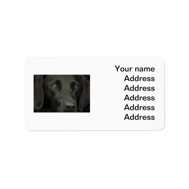 Black Labrador Hund Adressetikett (Framsidan)